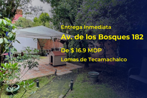 av de los bosques